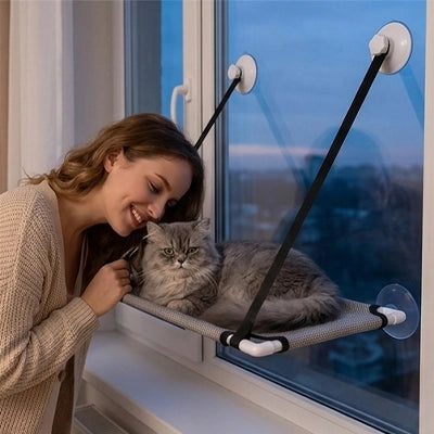 Hamac de fenêtre pour chat gris, ventouses et sangles noires, chat sur la toile