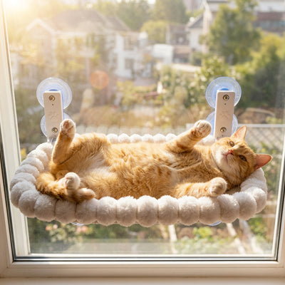Hamac pour fenêtre peluche claire avec ventouses, chat roux allongé sur le rebord