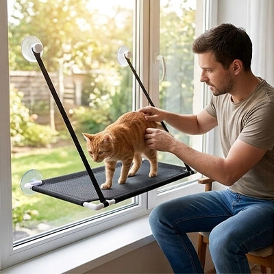Hamac de fenêtre pour chat gris, sangles noires et ventouses, chat en position allongée