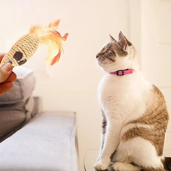 Jouet pour chat à plume : souris en corde de chanvre et queue plume