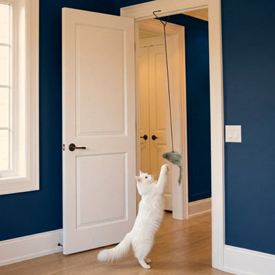 Jouet suspendu pour chat : souris en peluche sur corde élastique, chat qui s’y accroche.