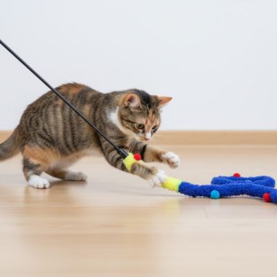 Canne à pêche pour chat avec chenille multicolore à clochettes, sur le sol.