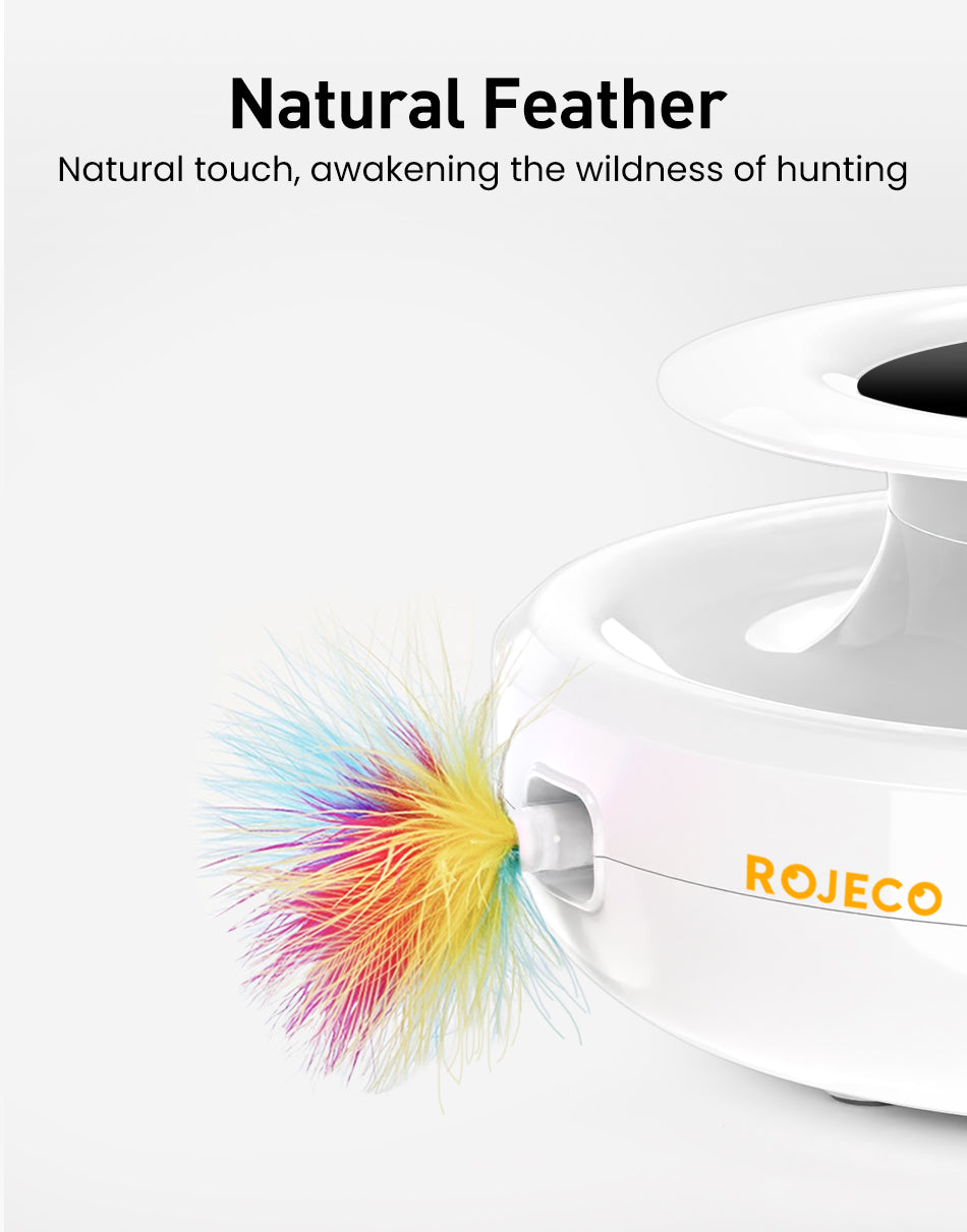 jouet chat interactif à plumes