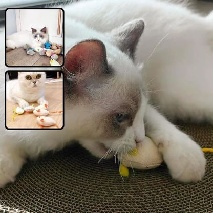 Jouet chat | Instinct Plus - Universduchat