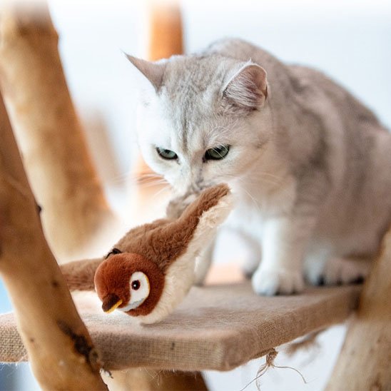 Jouet Chat interactif favorise son bien être