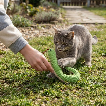 Jouet Chat interactif jouet d interieur ou d exterieur