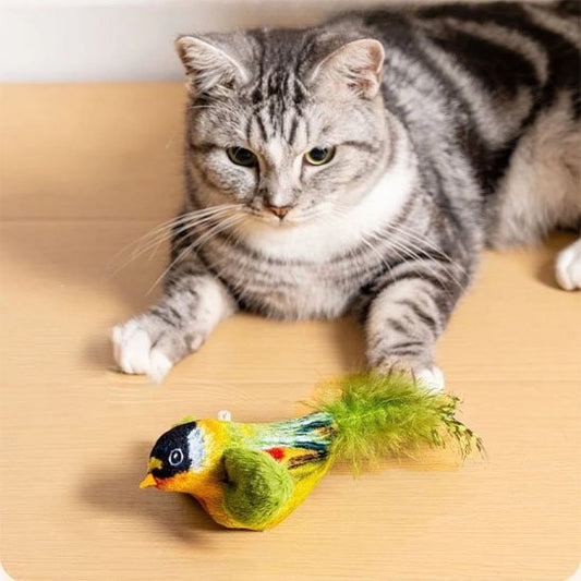Jouet chat interactif oiseau vert