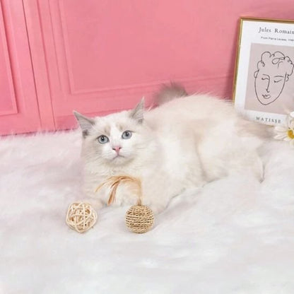 Jouet chat stimulante