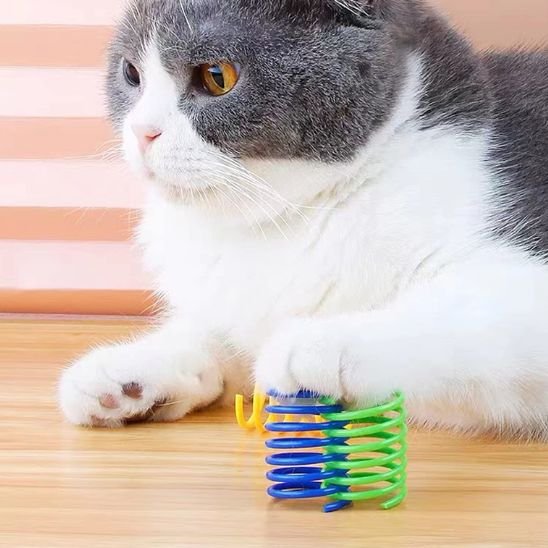 Jouet pour chat a ressorts