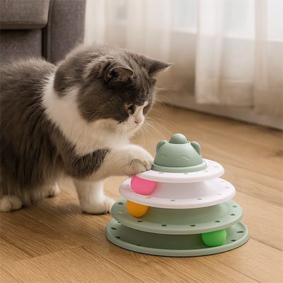 Jouet pour chat activité ludique