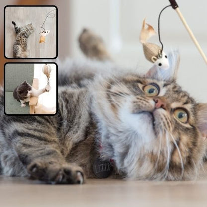 Jouet pour chat attractif