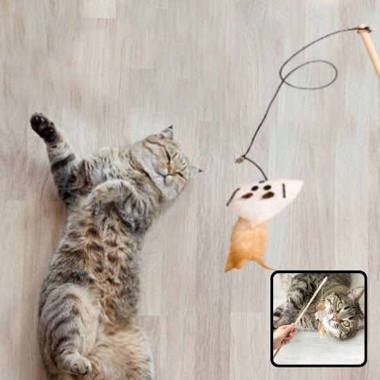 Jouet pour chat chick