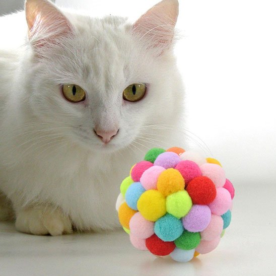 Jouet pour chat colorée