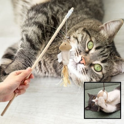 Jouet pour chat developper l'habilité