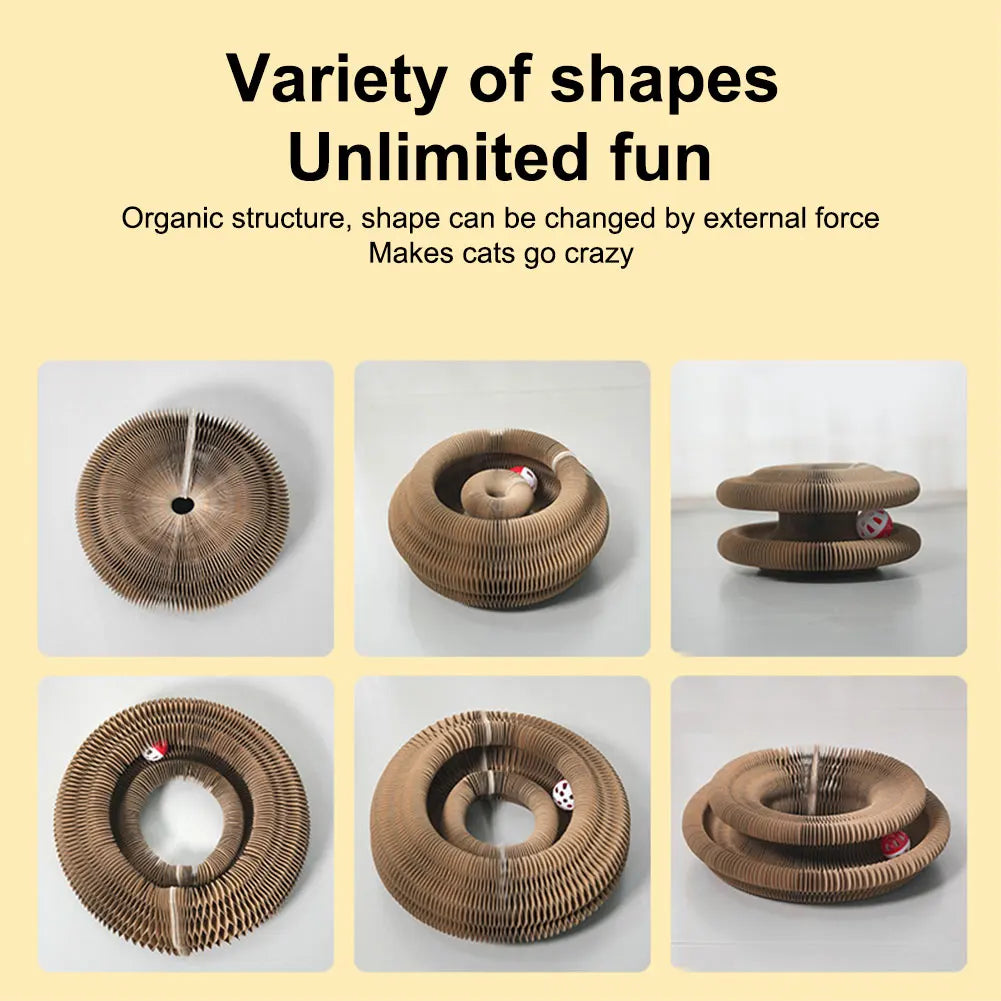 jouet pour chat differente forme