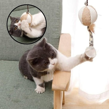 Jouet pour chat facile a attraper