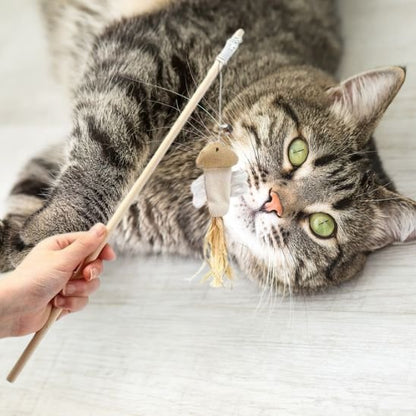 Jouet pour chat fish