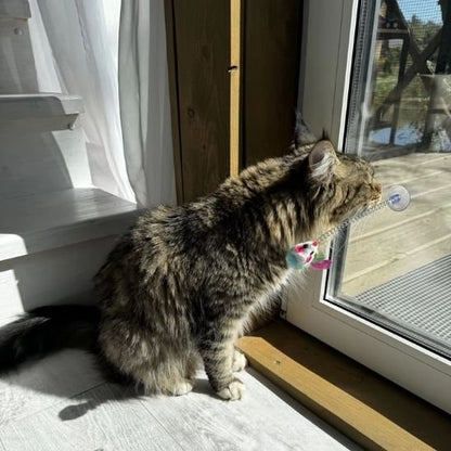 Jouet pour chat jeux de chasse