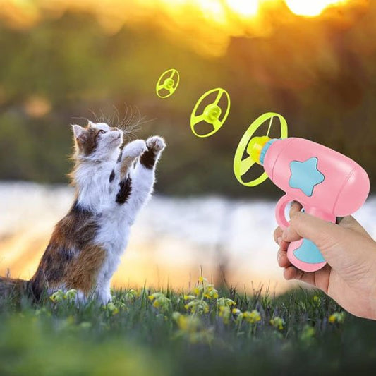 Jouet pour chat jouet a balle interactif