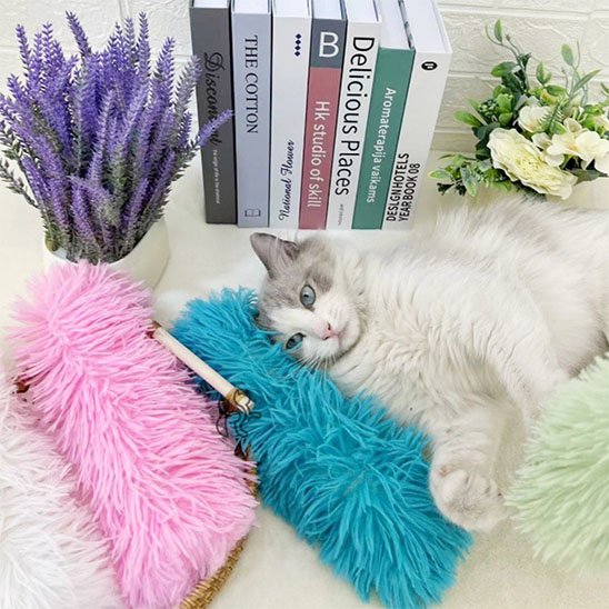 Jouet pour chat  lot de 4 couleurs 
