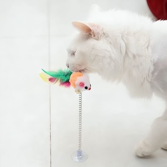 Jouet pour chat par lot 