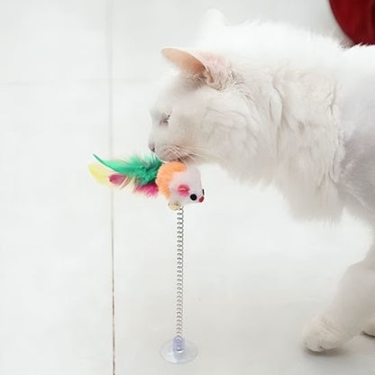 Jouet pour chat par lot 