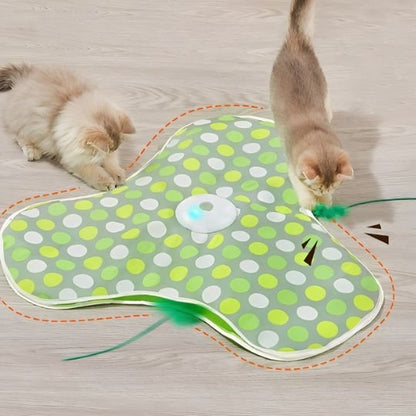 Jouet pour chat plume caché