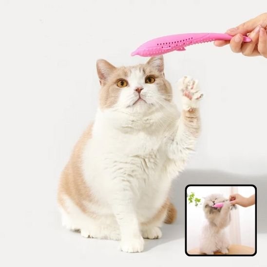 Jouet pour chat poisson rose