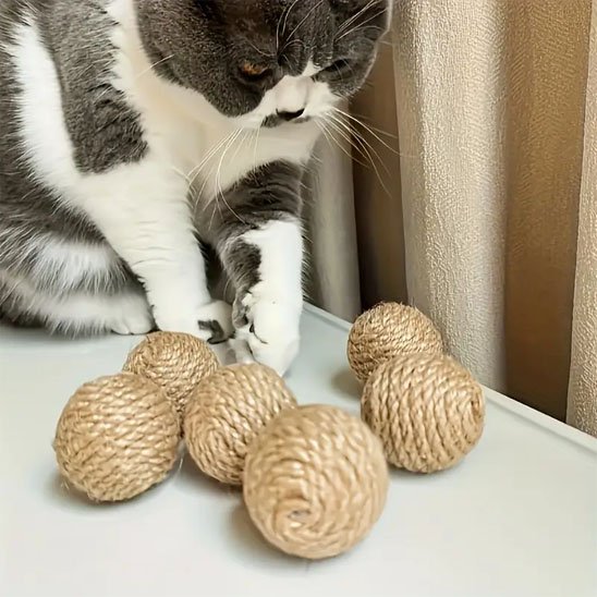 jouet pour chat robuste