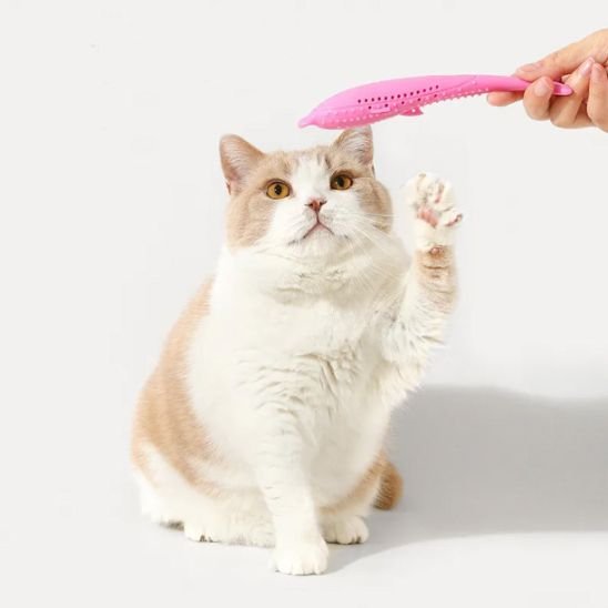 Jouet pour chat silicon