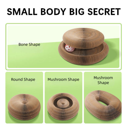 Jouet pour chat | FélinConfort