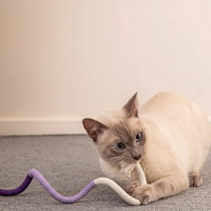 Jouet pour chat violet