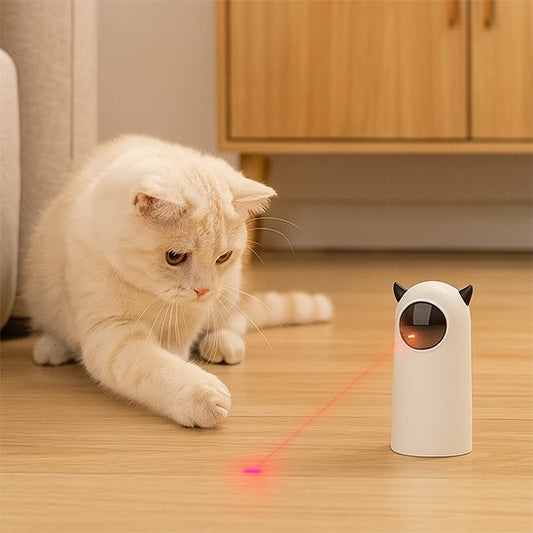 Laser chat​