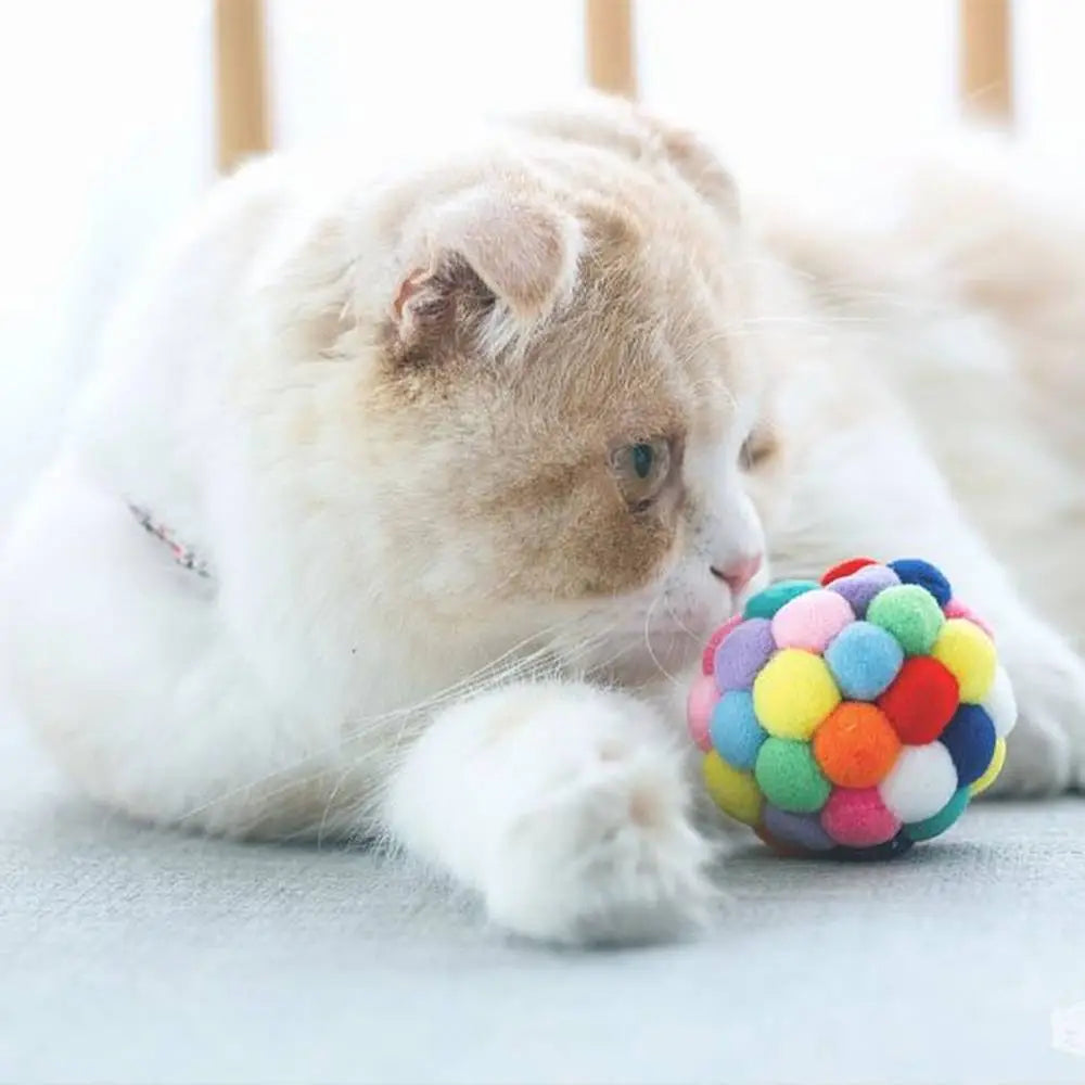 Jouet pour chat interactif FelinPlay : balle multicolore en peluche, tenue devant le museau