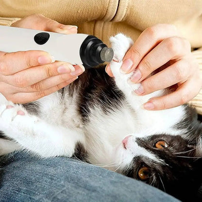 Coupe-griffes pour chat ProfeSécur blanc, embout noir appliqué sur une patte de chat