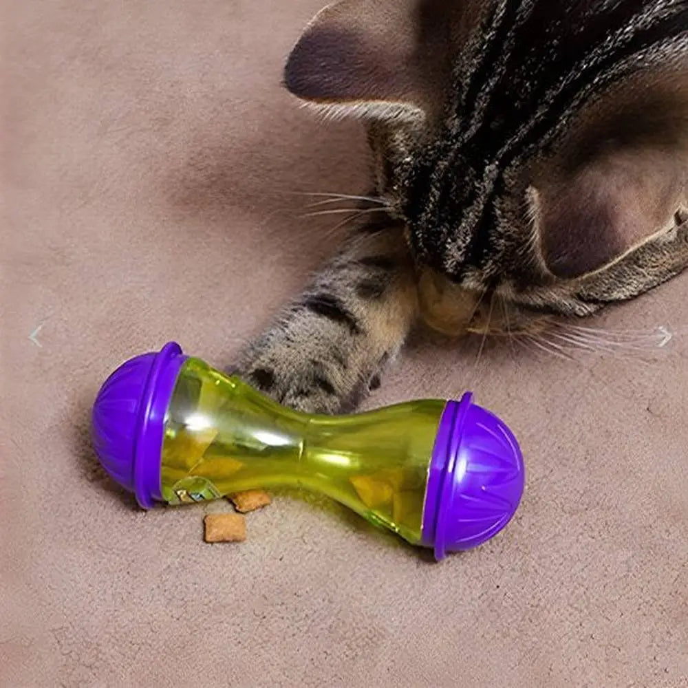 Jouet pour chat Instinct Félin bouteille transparente verte et embouts violets, petits morceaux