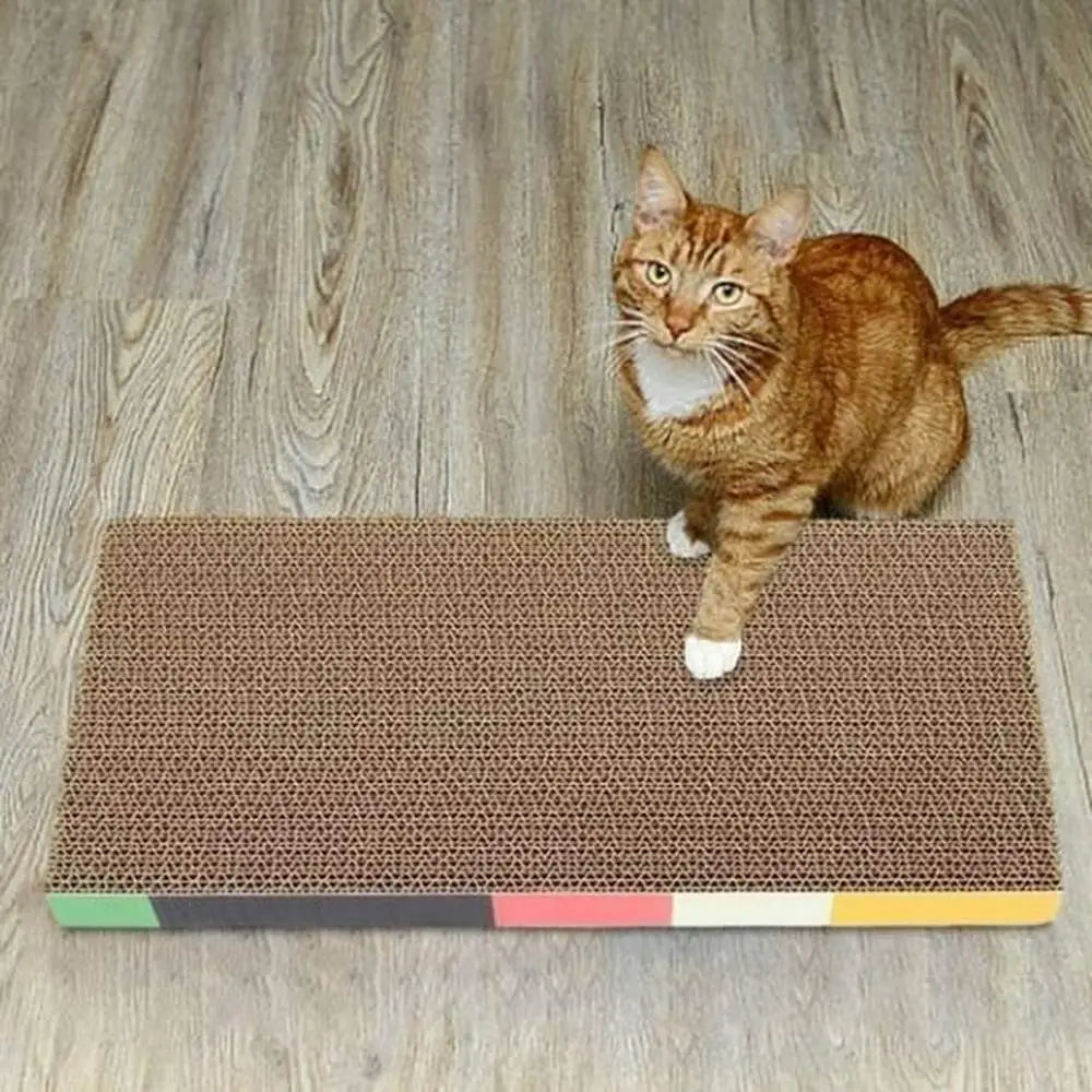 Griffoir pour chat rectangulaire, surface à gratter grise et bord multicolore