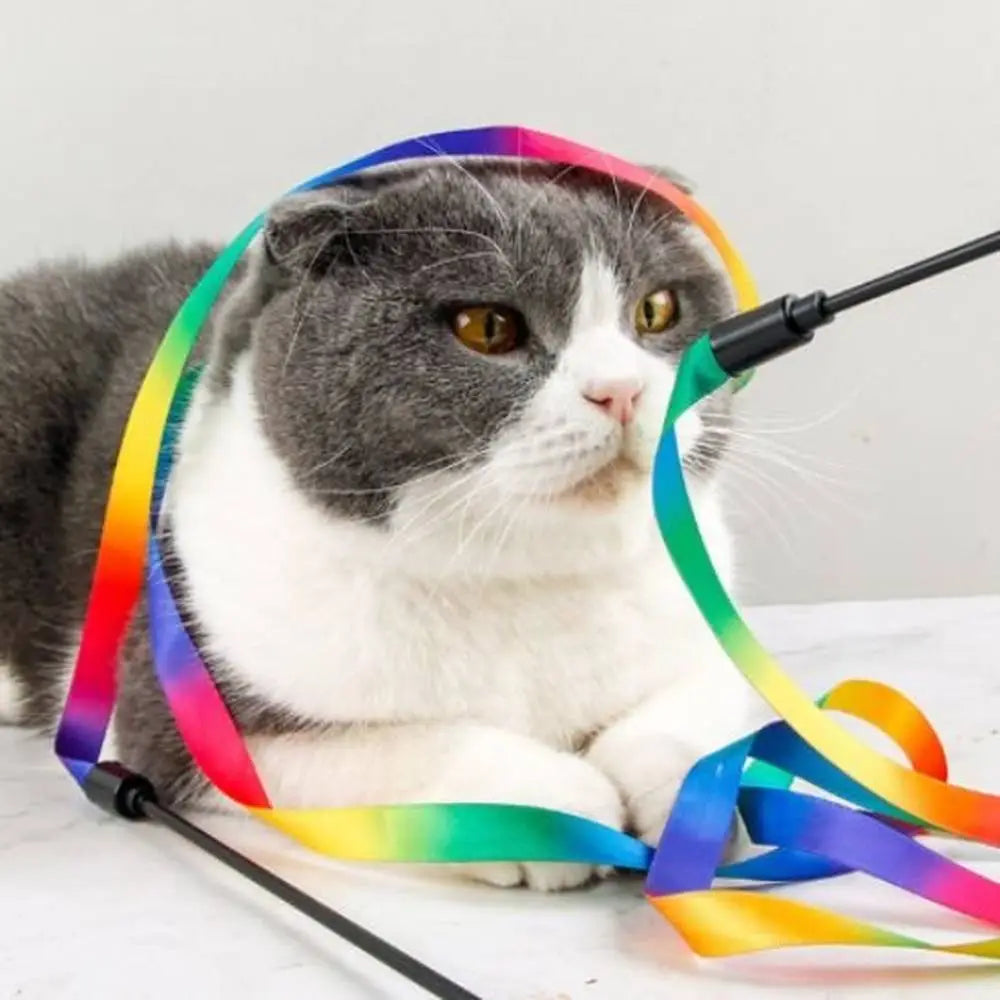 Baguette de jeu pour chat et rubans multicolores, chat gris et blanc