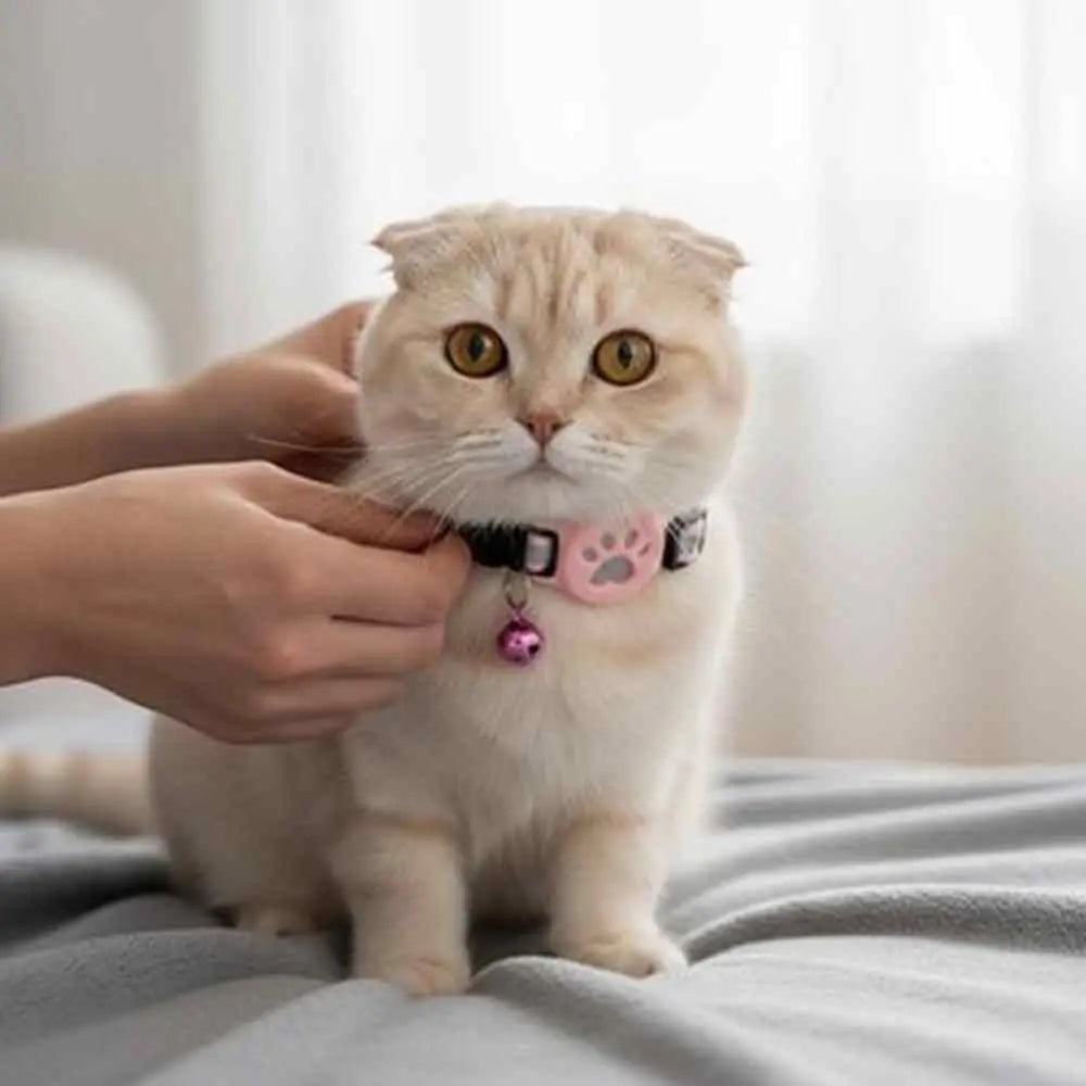 Collier GPS pour chat noir motif patte, sangle réglable et petite clochette