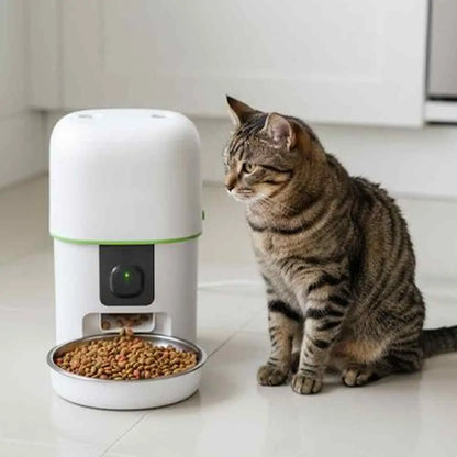 Distributeur de croquettes pour chat blanc avec bol rempli, bouton noir encastré et anneau vert.