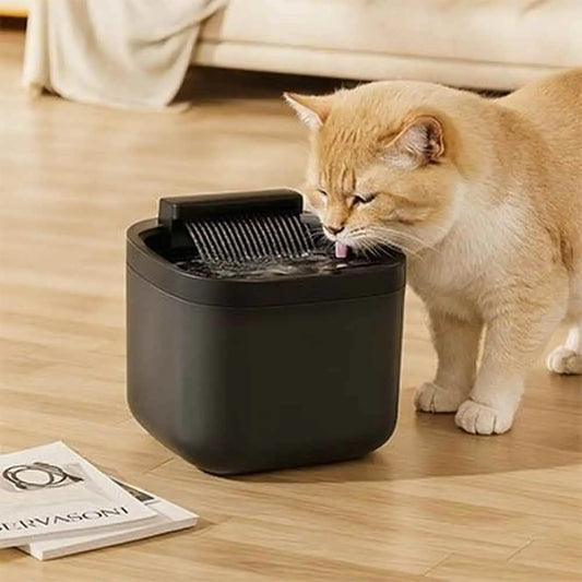 Fontaine à eau pour chat noire avec grille anti-éclaboussures et bac circulaire