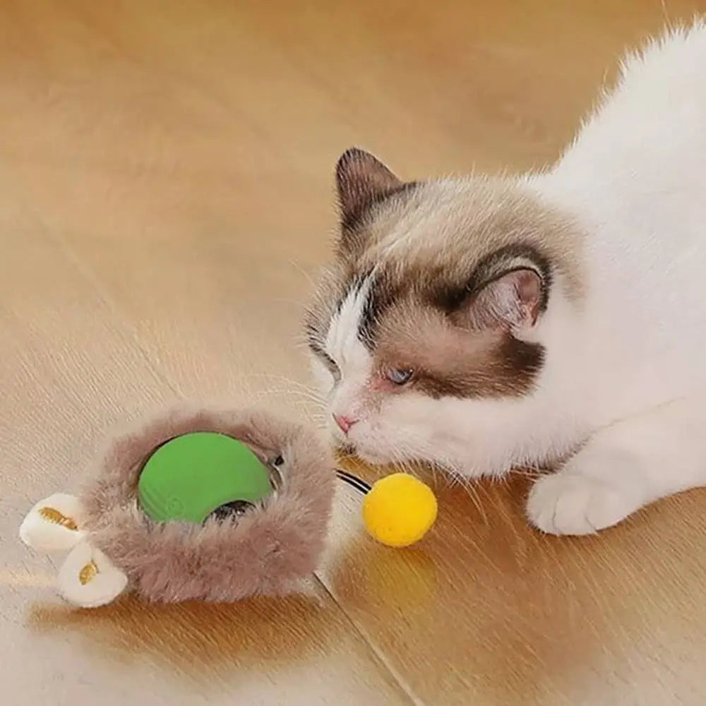 Jouet interactif pour chat : souris en peluche, disque vert et balle jaune