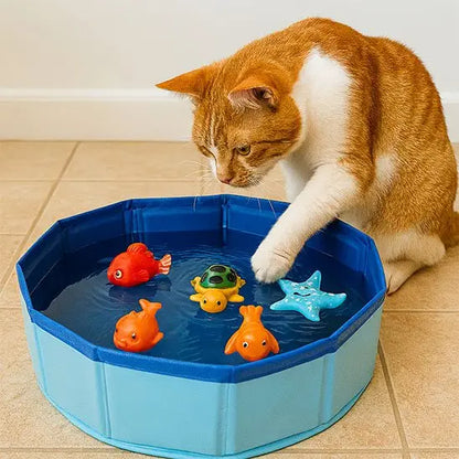 Piscine pour chat interactive bleue avec poissons colorés, chat roux à côté du bassin