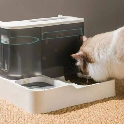 Distributeur de croquettes pour chat blanc, bol rempli de croquettes, chat près du bac.
