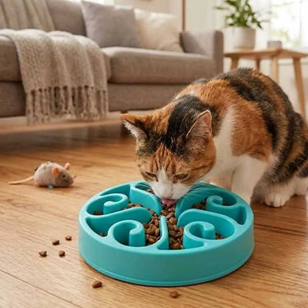Gamelle anti-glouton pour chat turquoise à compartiments en spirale