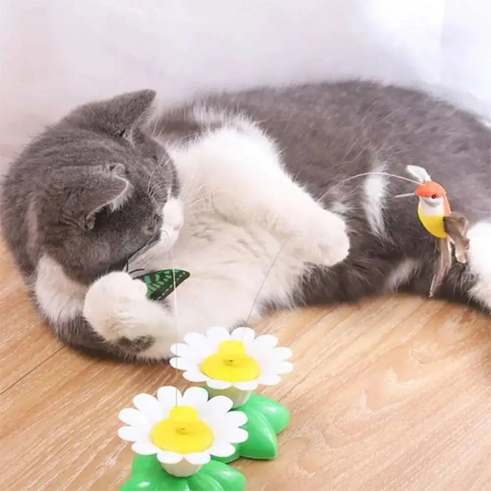 Jouet pour chat : fleurs marguerites blanches jaunes sur base verte, avec oiseau tournant