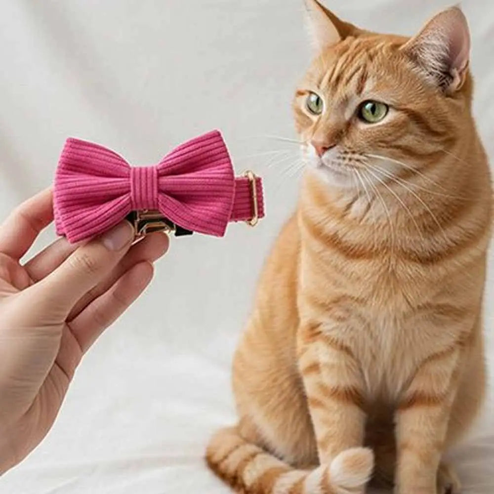 Collier de chat avec nœud papillon en velours côtelé rose, vu sur fond clair.