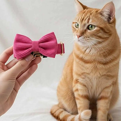 Collier de chat avec nœud papillon en velours côtelé rose, vu sur fond clair.