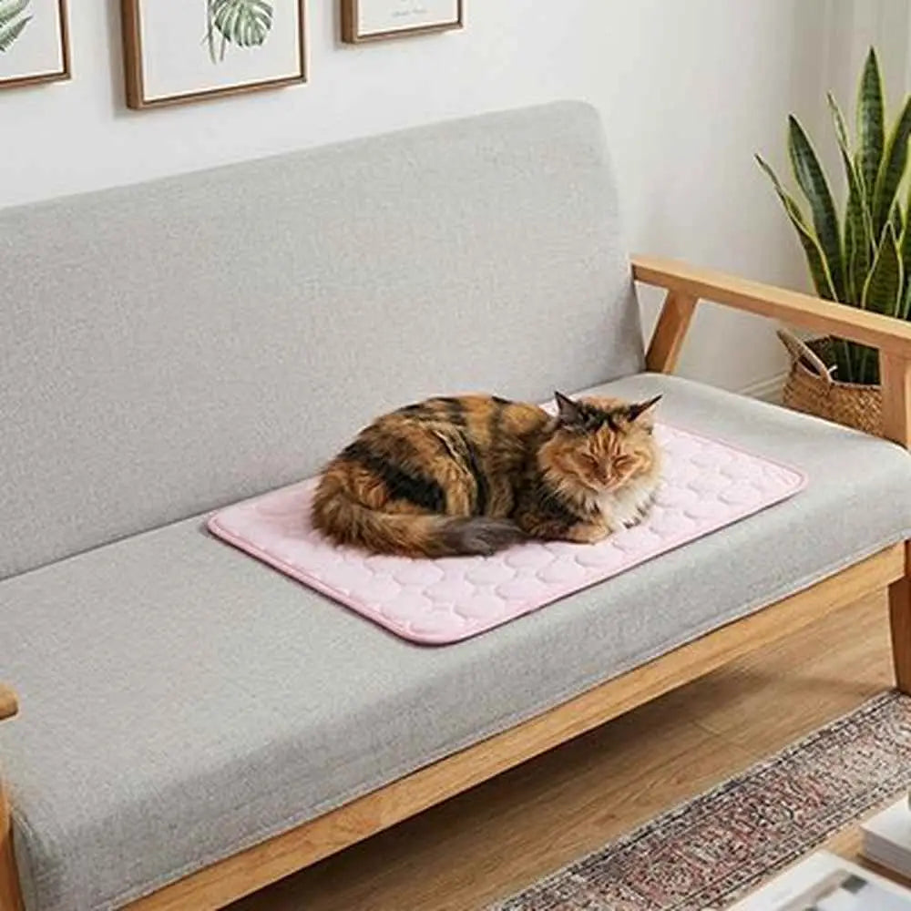 Tapis rafraîchissant rose à relief pour chat, avec chat tigré allongé