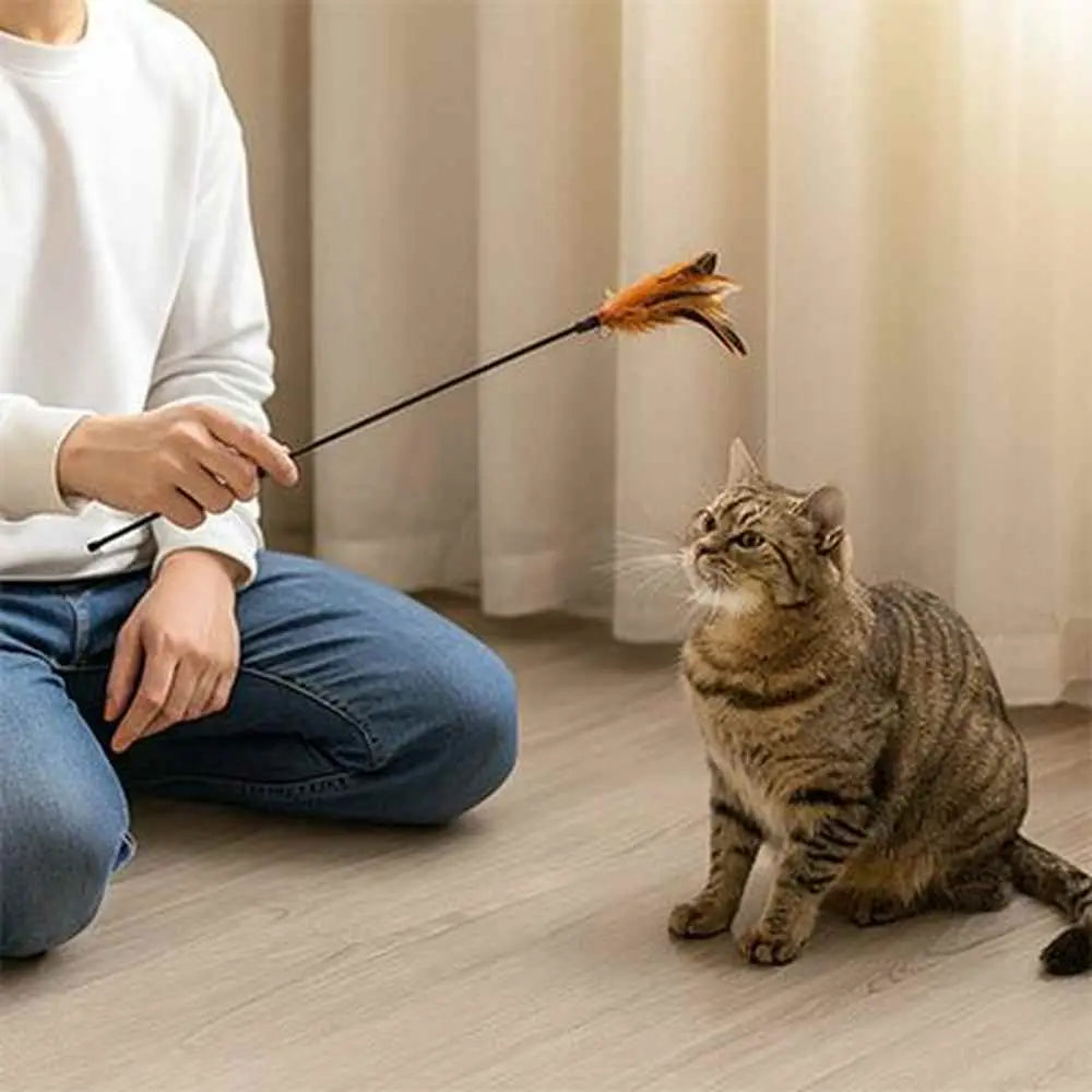 Bâton de jeu pour chat avec plume orange sur tige longue